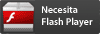 Flash Player